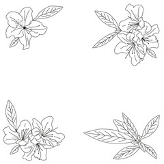Vector background with Flowers in doodle style. Template with a frame on a white background for inscriptions and invitations.