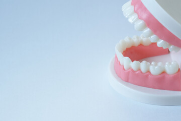 デンタル　歯型　歯磨き　歯科健診　歯鏡