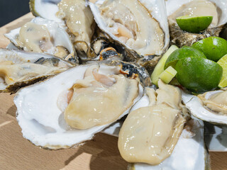 Close up shot of many fresh raw oyster
