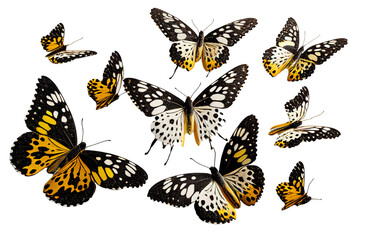 Flowers and butterflies isolated on transparent background. Flower arrangement, can be used for invitations, greetings, wedding cards, Generative AI