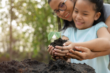 hands holding young plant with soil.World environment day and sustainable environment concept. Mom...