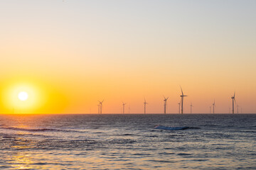 Wind turbine field over the sea in the evening