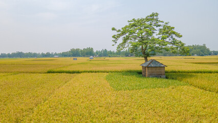 landscape with a house