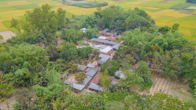 House in the village, bangladesh village top aerial photo
