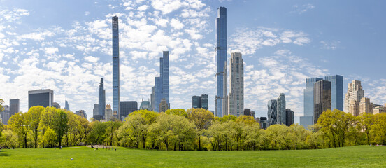 Central Park green meadow and skyscrapers