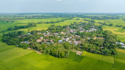 Village in green landscape with buildings and treesthe green field drone aerial landscape photo....
