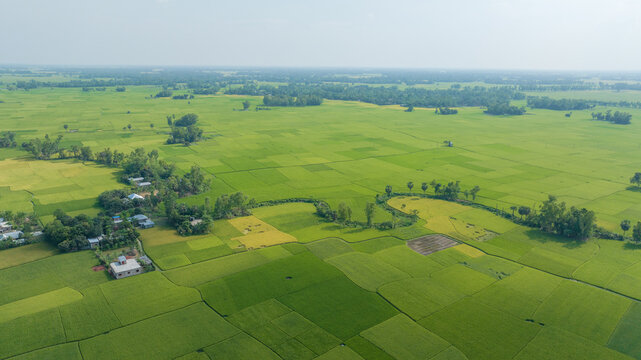 landscape with green fields drone aerial photo