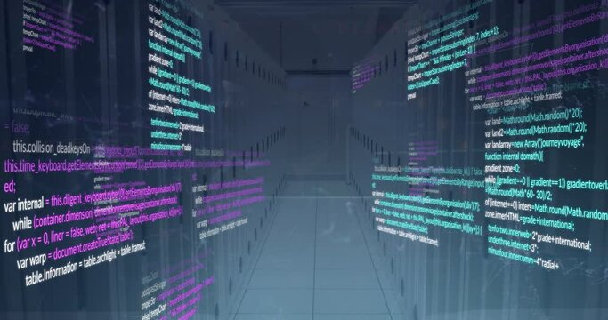 Animation of data processing over computer servers