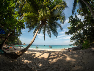Panorama of quiet beach and blue sea.