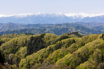 Fototapeta na wymiar mountains in the mountains