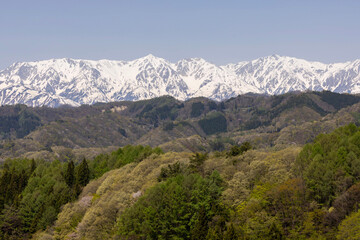 Naklejka premium landscape in the mountains