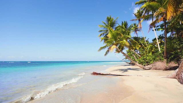 Palm branches against a beautiful sky and blue ocean. Bright leaves move in the wind. Beach travel concept. Paradise Island with Palms. Sea with azure water against the backdrop of a sandy island