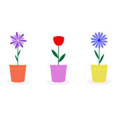 Set of colorful flowers in pots. Bright flat plants in flowerpots. Beautiful vector illustration