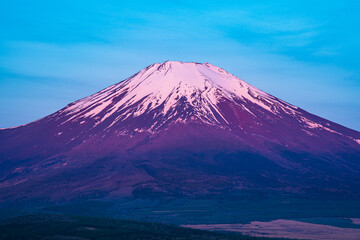 Fototapeta premium 5月の富士山