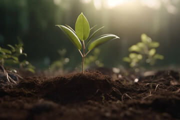 Corporate social responsibility Building a sustainable future through tree planting
