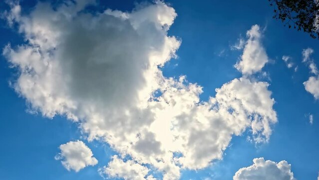 Time Lapse Looking Up Blue Sky With Rolling White Clouds. Slow Motion