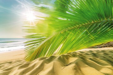 Blur beautiful nature green palm leaf on tropical beach with bokeh sun light wave abstract background.