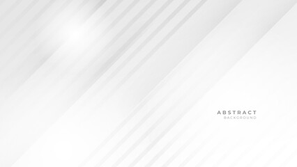 white and gray abstract background modern design vector illustration
