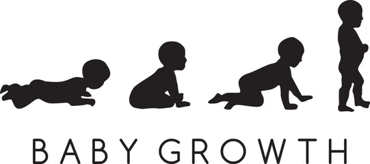 Vector illustration baby growth silhouette infographic isolated on white background