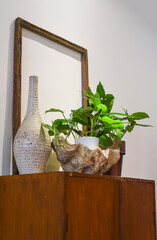 Details of interior vase made of natural seashell with plant and empty frame for loft style