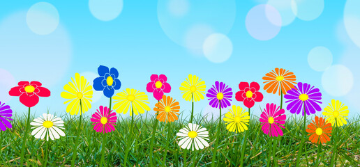Fototapeta na wymiar Colorful flowers on green grass with blue sky background.