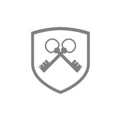 Key property home real estate icon isolated on transparent background