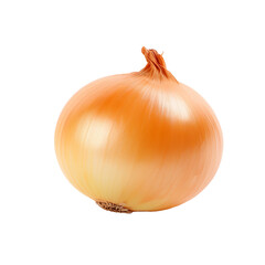 One onion isolated on transparent background, Generative AI