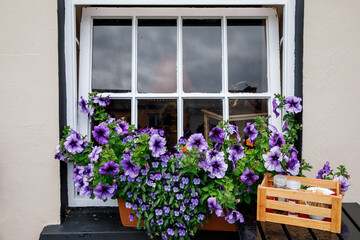 Awesome and colorful streets of Clifden, Connemara, Ireland. Colourful houses, windows with flowers.