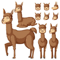 Set of alpaca cartoon character with head and facial expression