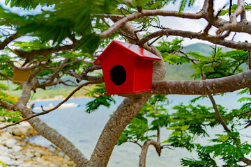Houses for birds. Dam Bay on an island near Nha Trang in Vietnam. Tourist destination. 