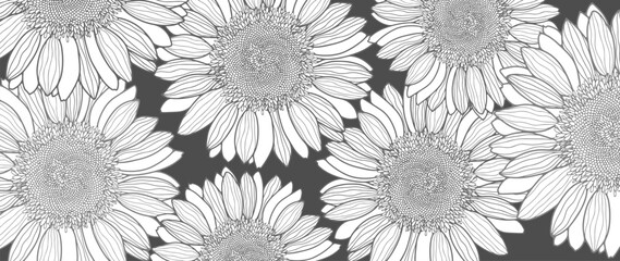 Black and white vector floral illustration with sunflowers. Floral background for postcards, wallpapers, business cards and presentations.
