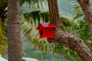 Houses for birds. Dam Bay on an island near Nha Trang in Vietnam. Tourist destination. 