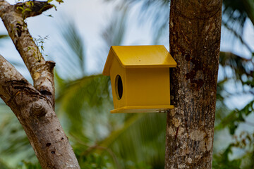 Houses for birds. Dam Bay on an island near Nha Trang in Vietnam. Tourist destination. 