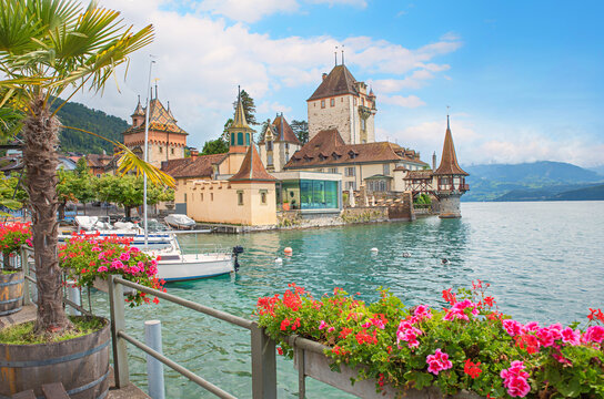 pictorial castle Oberhofen, lakeside promenade with palm tree and flowers, switzerland