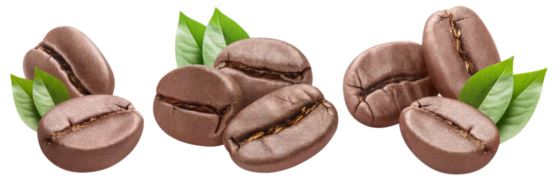 Collection of delicious coffee beans, cut out