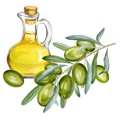 watercolor olive oil in glass bottle with branch of green olives with leaves and fruits, hand drawn illustration of olive isolated on white background