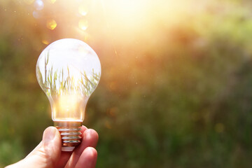 Energy, nature and business concept image. Creative idea and innovation. light bulb metaphor in...