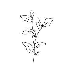 Minimalistic black linear plant branch with leaves vector icon on isolated white background. Floral and nature stick.