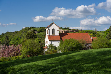 Fototapeta na wymiar Burg Neu-Bolanden (Donnersbergkreis)