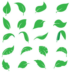 Leaf eco or bio logo icon set, vector Green leaf shape on white background