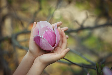 Beautiful blossoming pink magnolia flower with tender petals in woman's hands touching it, seasonal outdoor close up floral background, idea of freshness, tenderness and blooming of spring and nature © upparadox