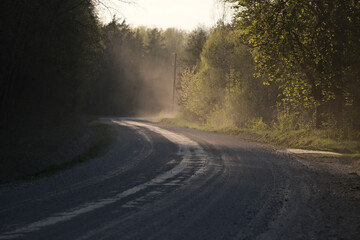 Fototapeta na wymiar Winding country road through the forest at sunrise. Spring landscap