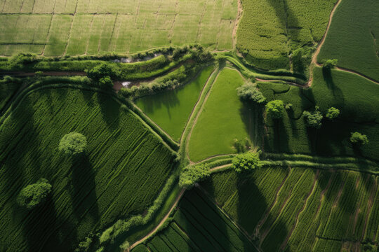 Aerial view of green agricultural fields planted with various crops. Agricultural plantations, lands, meadows and arable land. 6K high resolution image. Generative AI, human enhanced