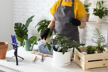 Female blogger sits in front of smartphone camera on tripod records instructional tutorial video for her blog shoots process of replanting flowers and green plants full of soil enjoys botanic hobby