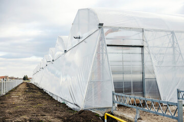 Fototapeta premium A greenhouse covered with nylon.