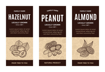 Set of vector nuts and seeds banners. Almond, peanut and hazelnut illustrations