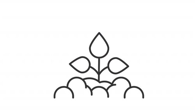 Replanting line animation. Animated hand relocates plant animation. Plant transplantation. Seamless loop HD video with alpha channel on transparent background. Outline motion graphic animation