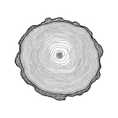 Log cut, vector illustration. Tree rings pattern, shades of gray.