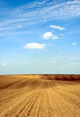 Fototapeta premium freshly tilled yellow brown farm field. undulating hilly rural land. abstract perspective view. blue sky. white clouds. nature and outdoors. farming and agriculture. grooved ploughed soil texture