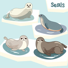 Set of cute cartoon fur seals. Polar marine  animals vector illustration